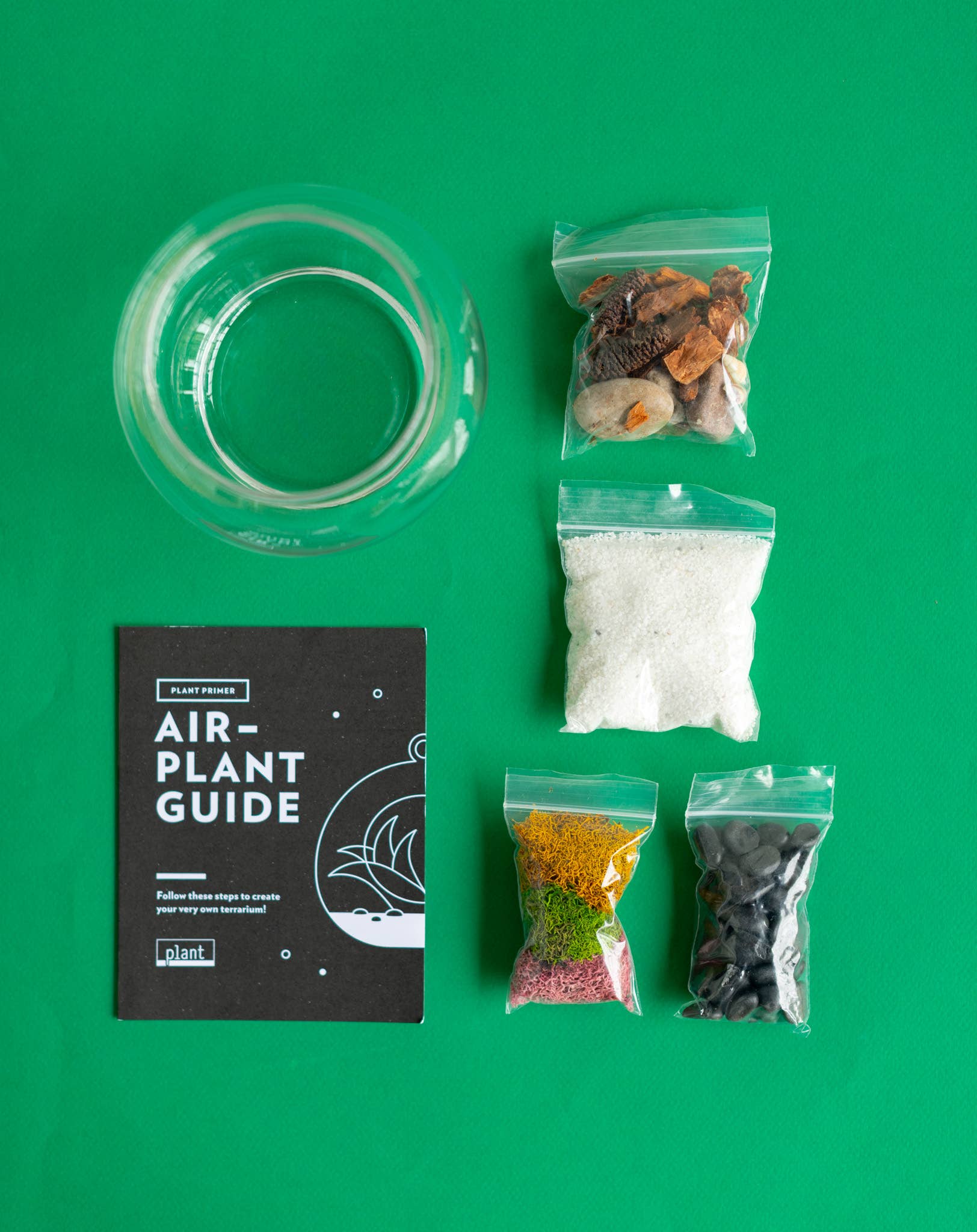 Airplant Terrarium Kit : Globe