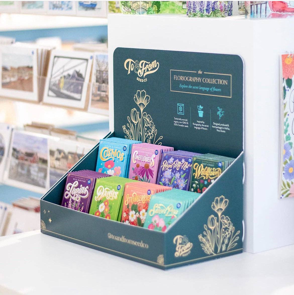 Floriography Seed Packet Countertop Display (EMPTY) – hanson road