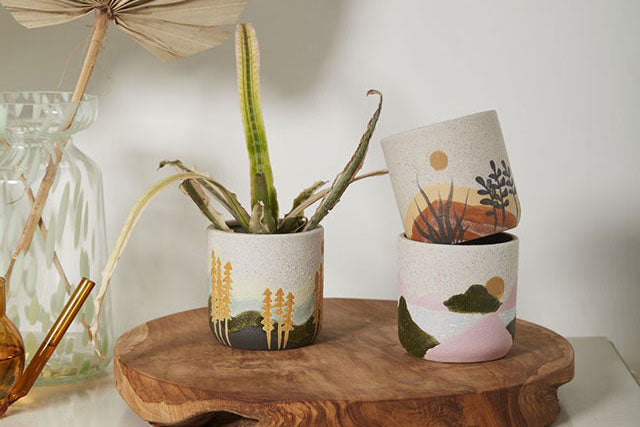 Home Accent: Mojave Pot - Pink