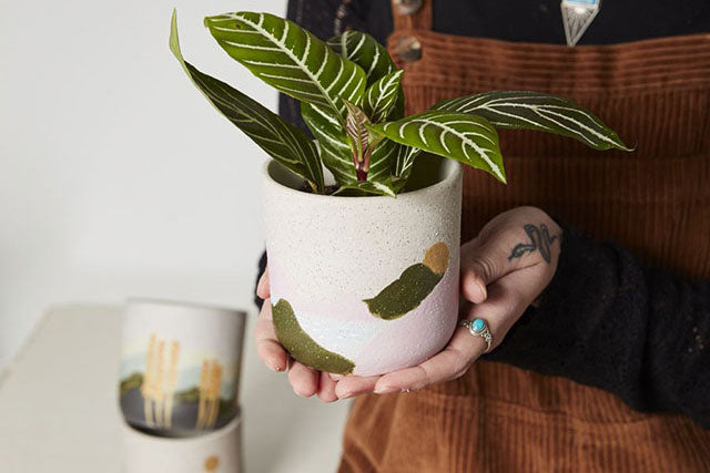 Home Accent: Mojave Pot - Pink