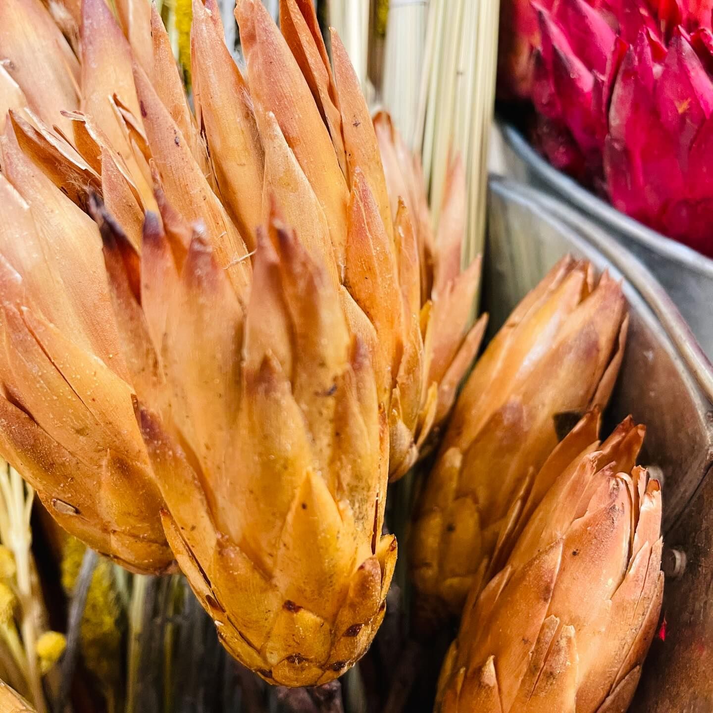 Hanson Road: Dried Floral Artful Vase Design