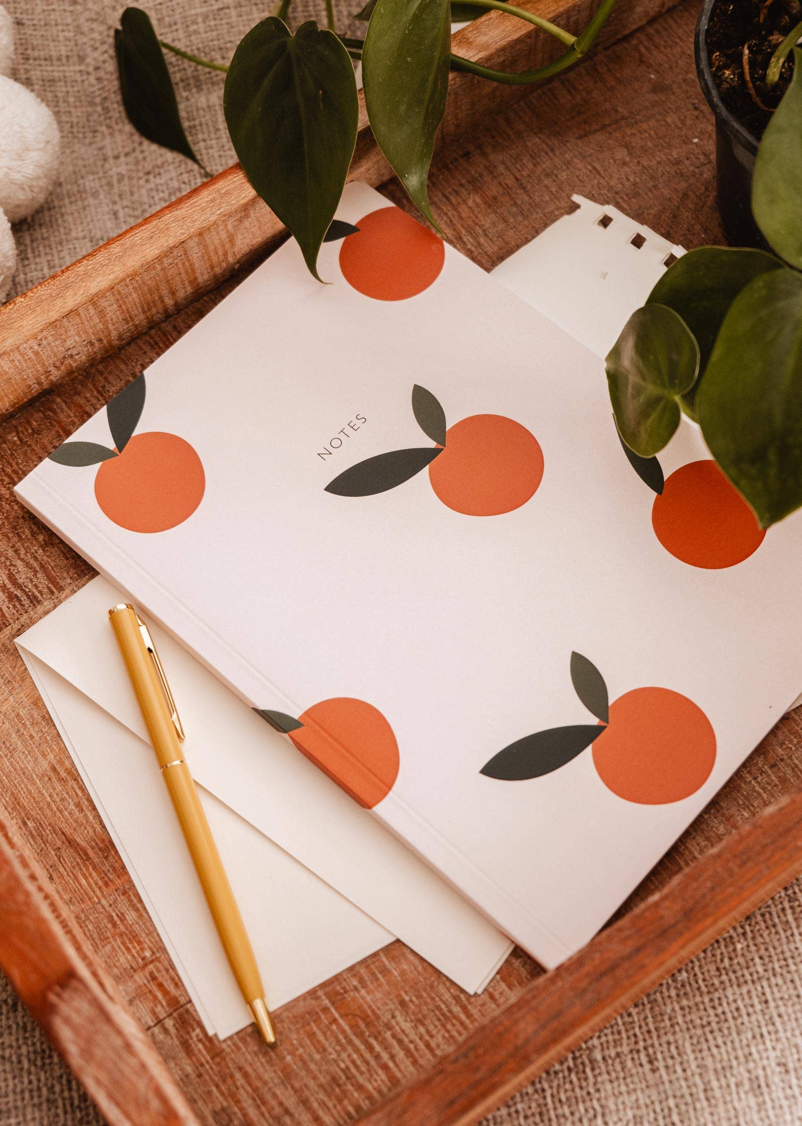 Mimi & August: Notebook - Little Oranges