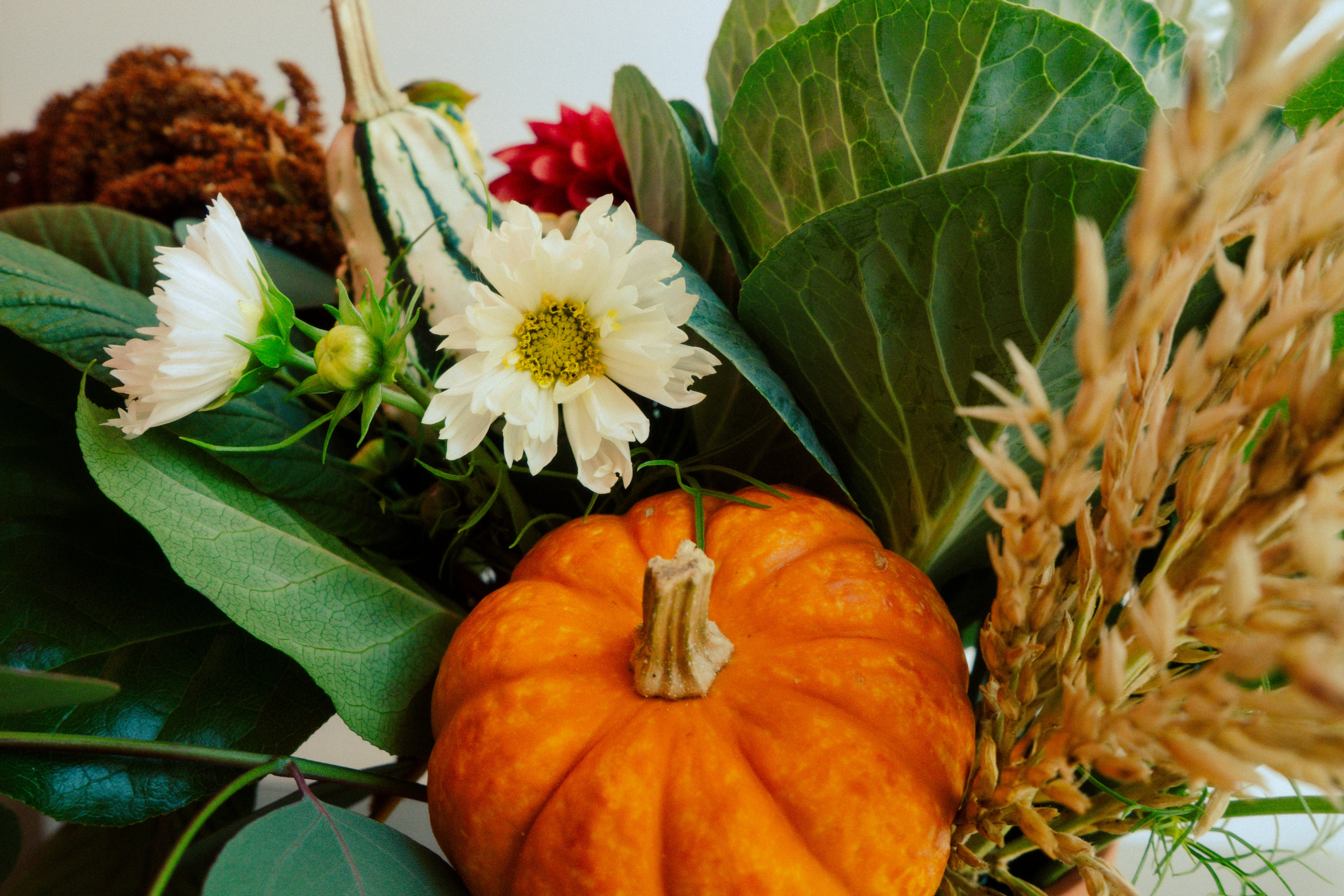 The Friendsgiving Centrepiece