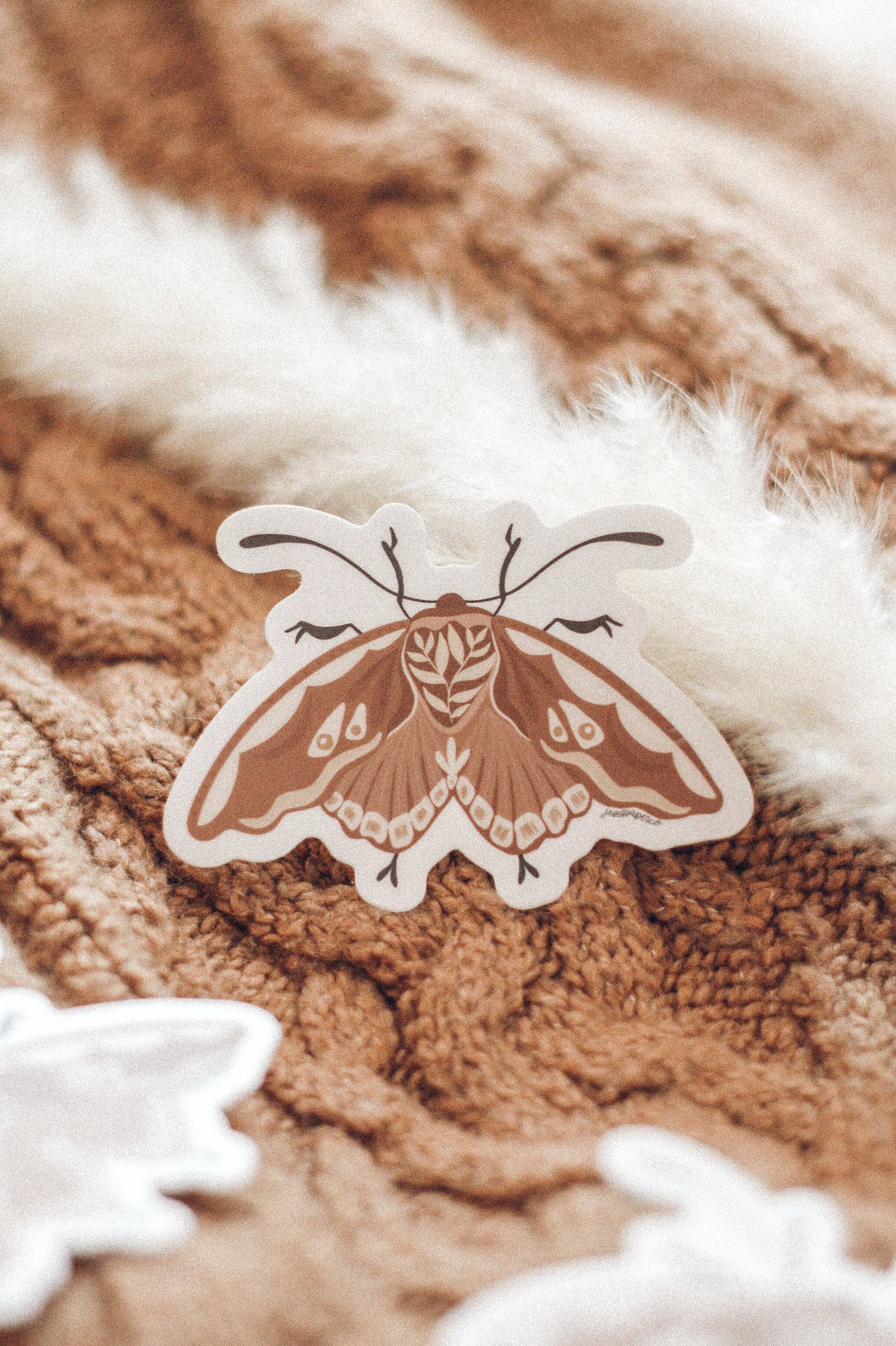 Jess's Paper Co:  Sticker - Moth