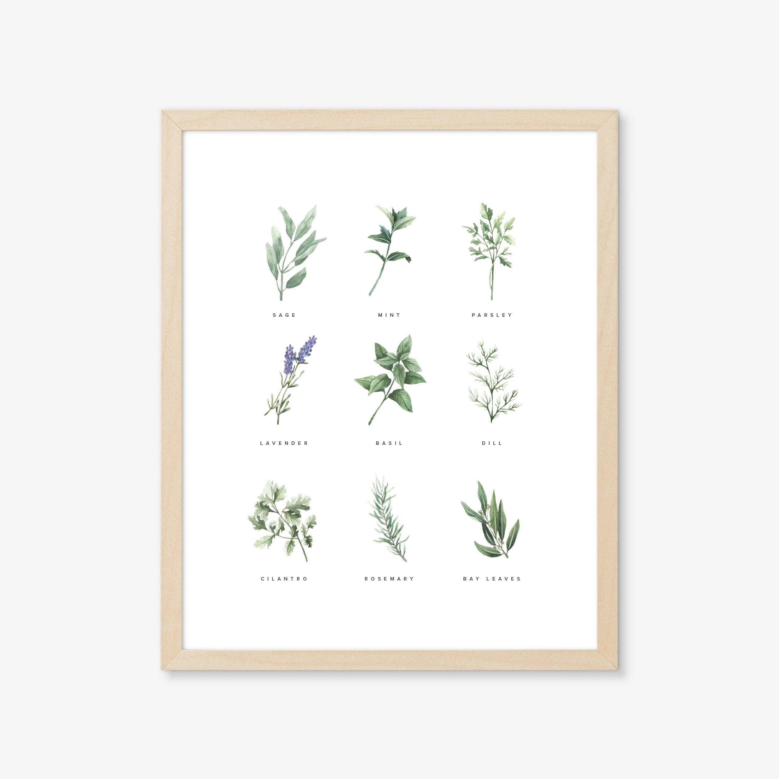 Backyard Herb Garden Art Print