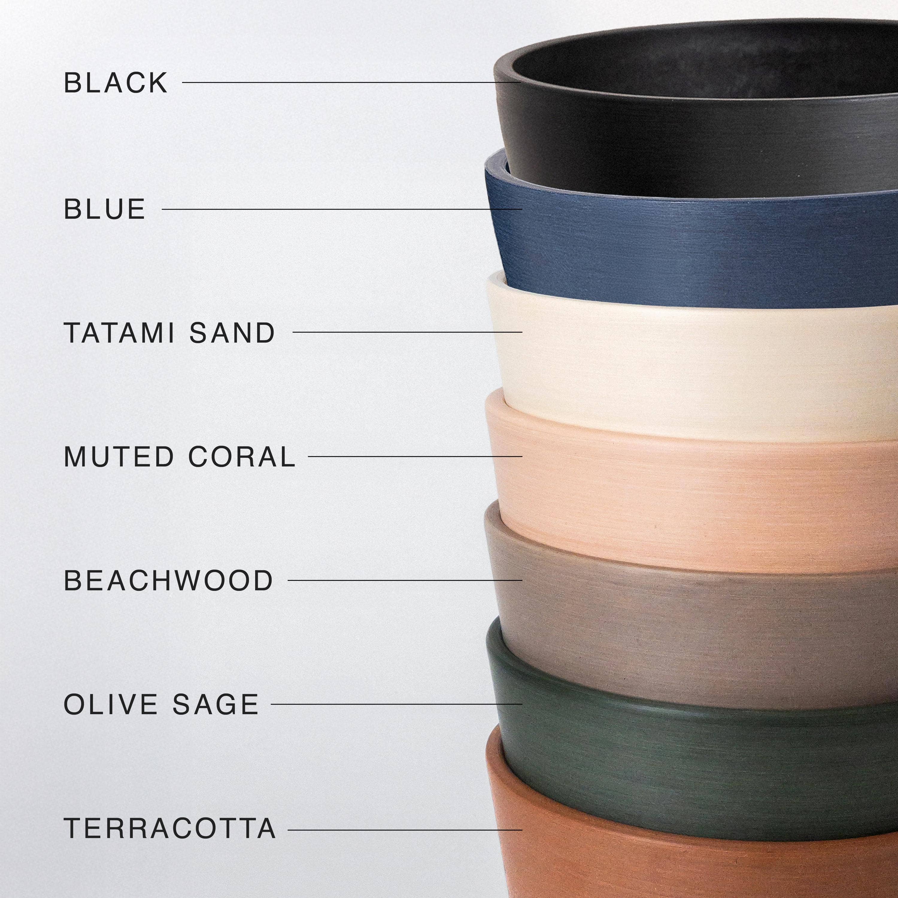 Earth Tones: Olive Sage