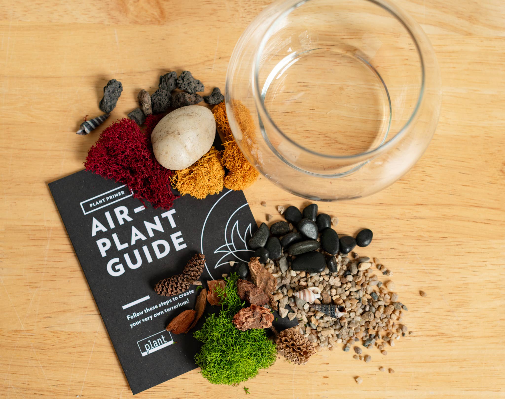 Airplant Terrarium Kit : Globe